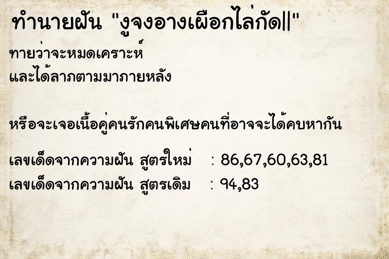 ทำนายฝันทำนายฝันงูจงอางเผือกไล่กัด||